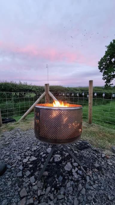 Bronfelen Yurt Hotel Cynghordy Buitenkant foto