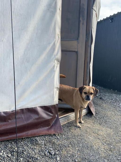 Bronfelen Yurt Hotel Cynghordy Buitenkant foto